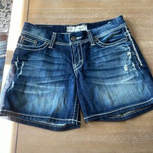 BKE Payton 30 shorts